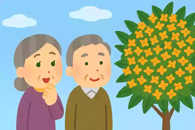 甘い香りがすてきなキンモクセイですが、名前の由来にはある動物が関わっています。動物とは何でしょうか?