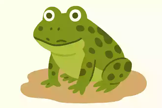 ぬまがえる(沼蛙)