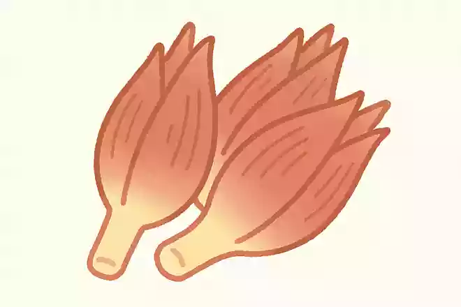 ミョウガ