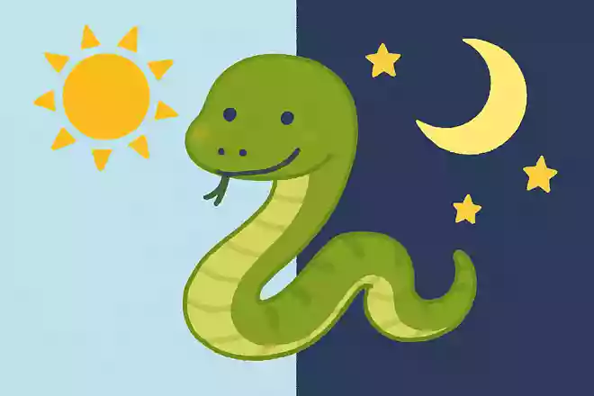 ヘビは昼行性?それとも夜行性?