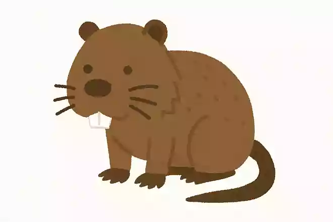 ヌートリア