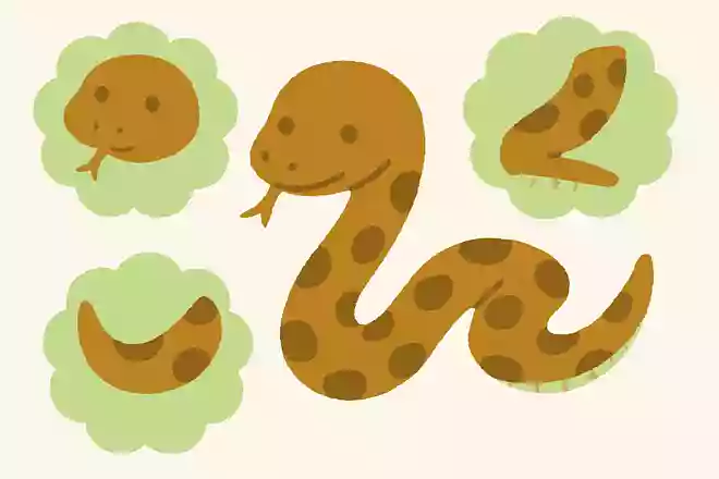 ヘビが足のかわりとして使っている部分はどこでしょう?