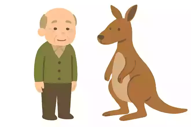 成人男性とカンガルーならどちらが大きいでしょうか?