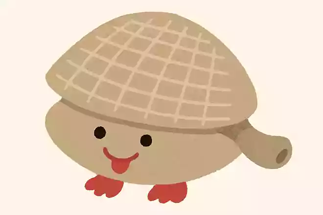 ぬのめあさり(布目浅利)