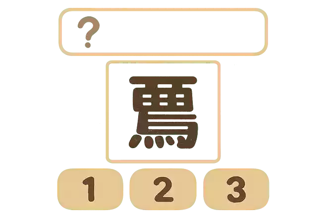 鼯