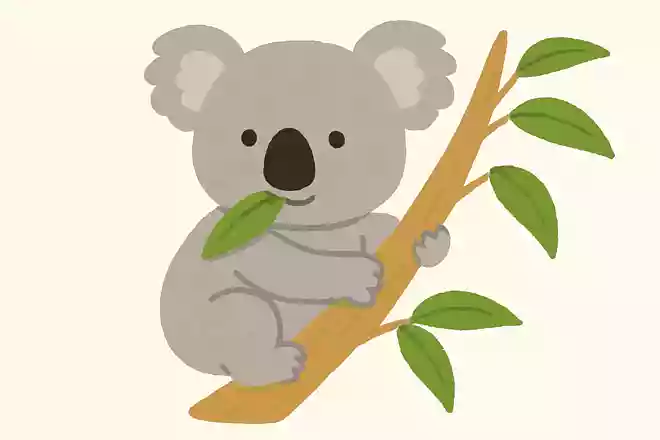 ユーカリのはをたべる、ねるのがだいすきなどうぶつは?