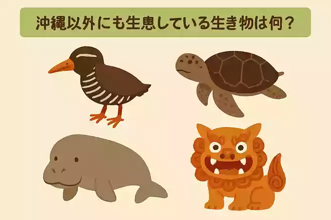 次のうち、沖縄以外にも生息している生き物は何?