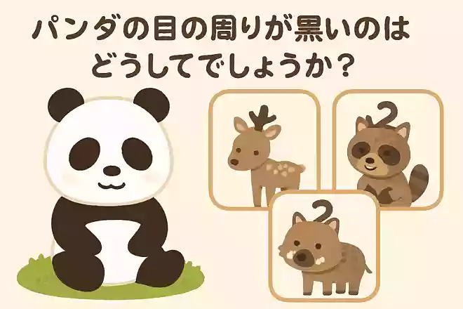パンダの目の周りが黒いのはどうしてでしょうか?