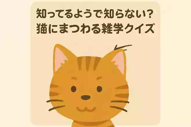 猫の耳の先のシュッと飛び出してる毛の名称は?