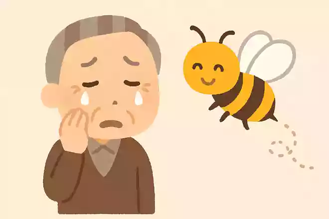 泣き面に〇〇