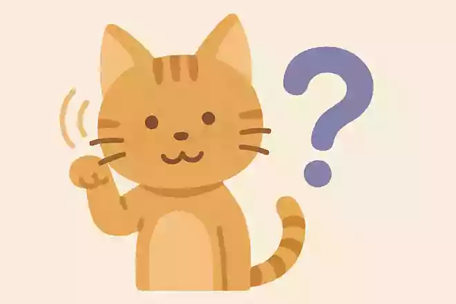 猫の聴覚は人間のおよそ何倍?