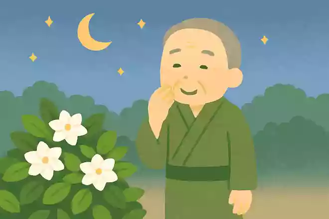 薄月夜 花くちなしの 匂いけり