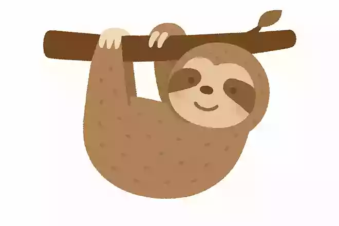 ナマケモノ(樹懶)