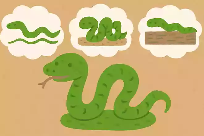 ヘビの移動方法は主に何種類あると言われているでしょう?