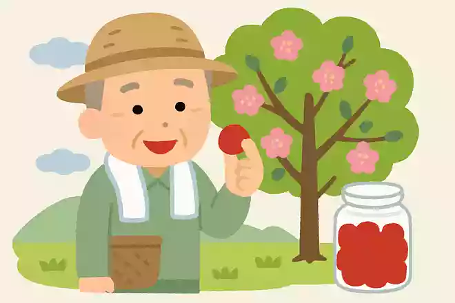 おうめの梅田さんが 植えた梅がうめえ 梅干しになった
