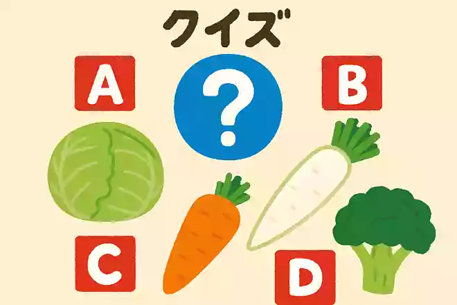 冬に食べるとおいしい野菜は次のうちどれでしょうか?