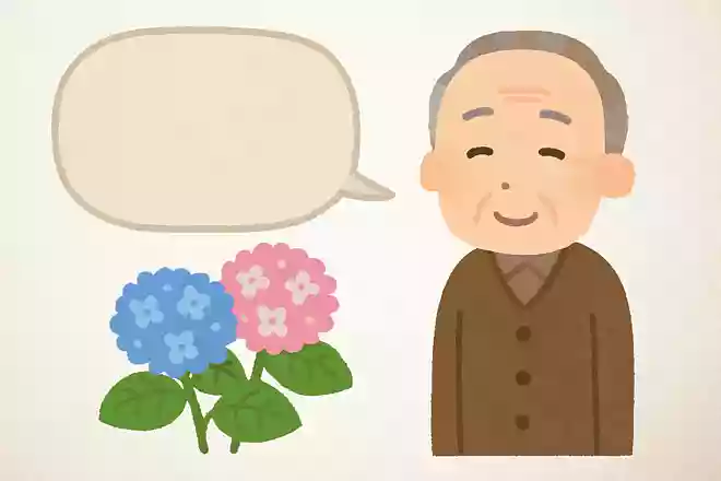 紫陽花は江戸時代にどのように呼ばれていたでしょうか。