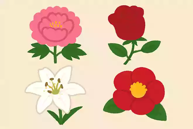 ボタン、バラ、ユリ、ツバキの花の中で、トゲのある花はこの中にあるでしょうか？