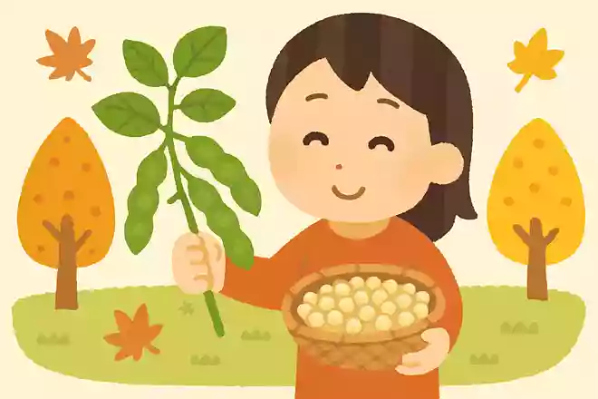 10月が収穫のシーズンの大豆にまつわる雑学