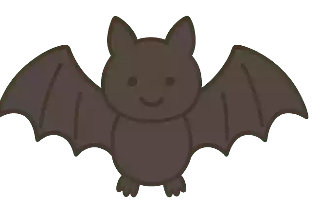 コウモリ