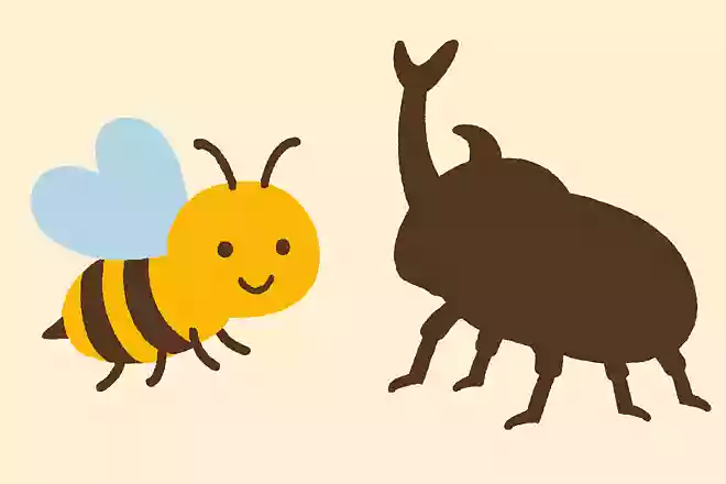 ハチとカブトムシはどちらが大きい?