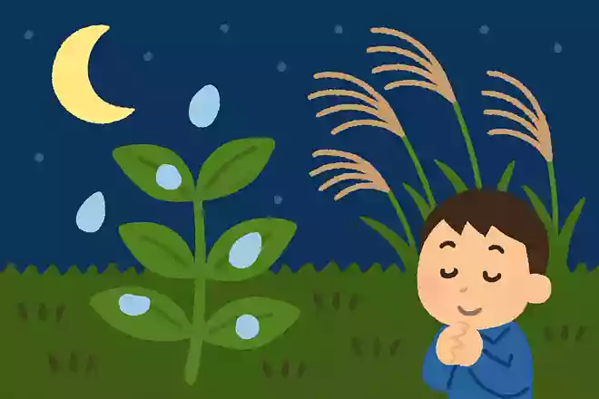 二十四節気の一つで、夜が長くなり朝方、冷たい露が草木につく時期を何というでしょうか?