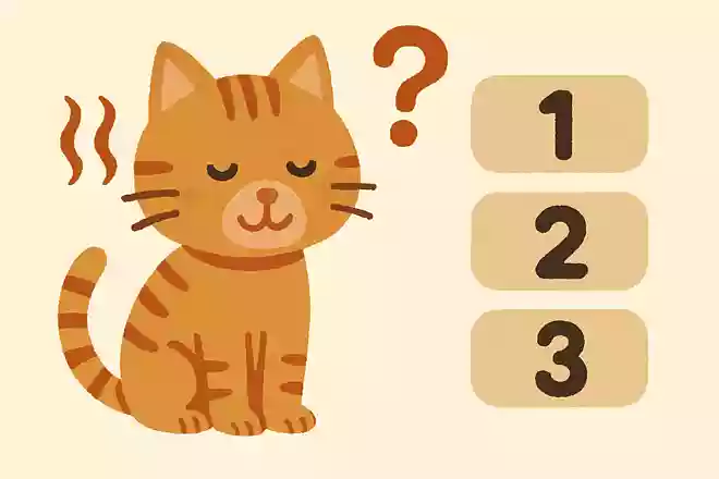 猫は体のどこで温度を感じる?