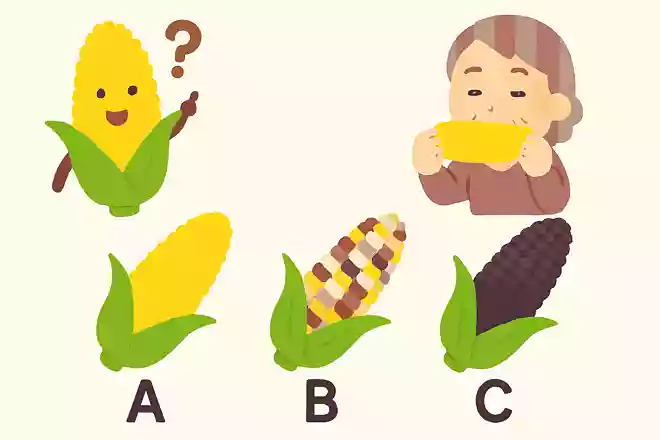 次のうち実際にあるとうもろこしの品種はどれでしょう?