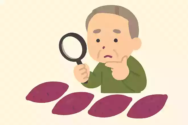 美味しい芋の見分け方は?
