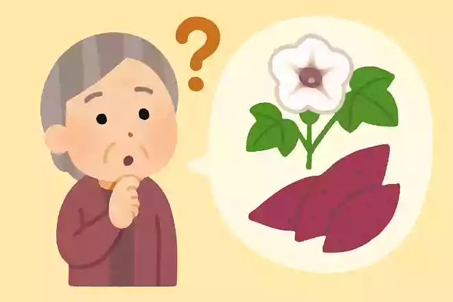 さつまいもの花言葉は何でしょう?