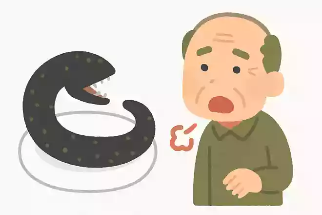 うなぎを生で食べない理由は何でしょうか?