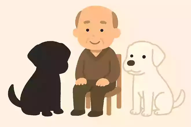 太郎君は「黒い犬」と「白い犬」を飼っています。どちらの犬がおとなしい犬でしょうか?