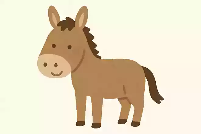 驢馬