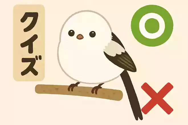 シマエナガはペットとして飼育できる、○か×か