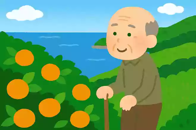 みかん山 海見下ろして 五月尽