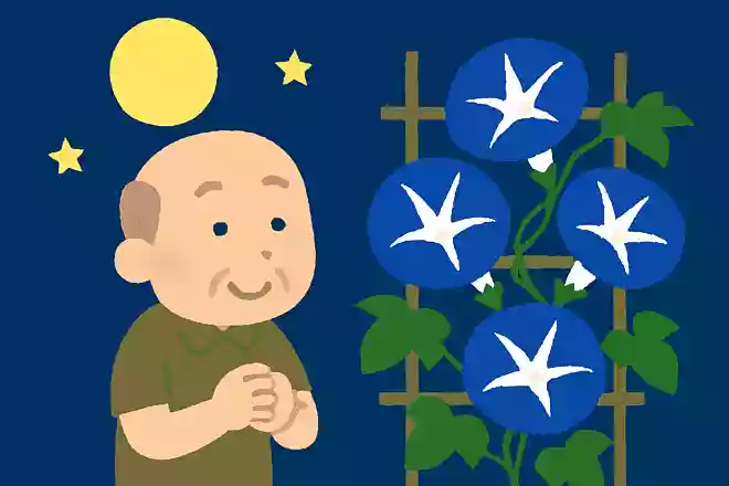 朝顔の 紺の彼方の 月日かな