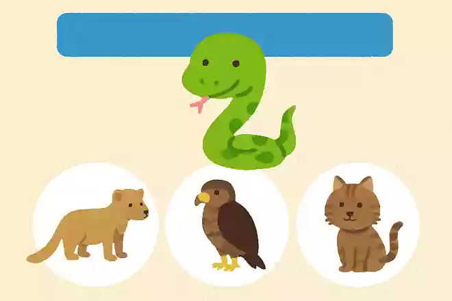 ヘビがには天敵がいますが、次のうちどれでしょうか?