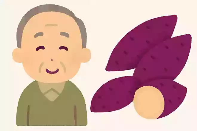 国内で栽培されているさつまいもは何種類あるでしょうか