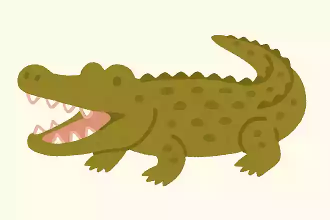 ナイルワニ(ナイル鰐)