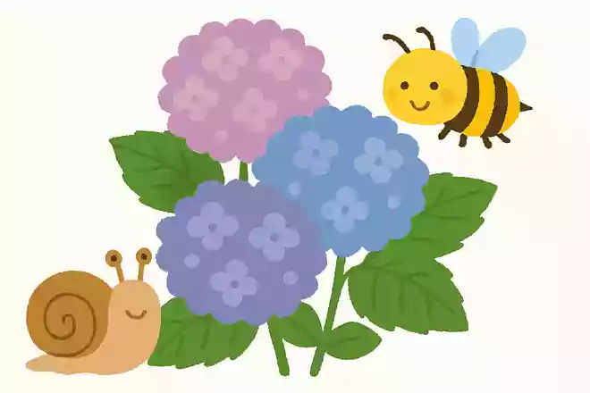 紫陽花はどんな生き物と共生関係にあるでしょうか。