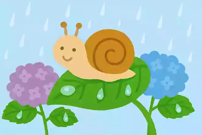 あめがすきでよくあじさいのはっぱにいる、からをせおったいきものは?