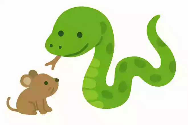 へびはどうやってエサを食べるでしょうか?