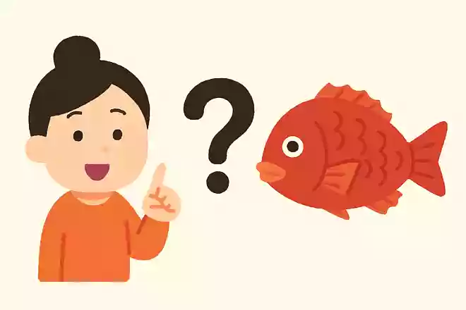 お正月に食べると縁起がいい魚の鯛ですが、なぜ鯛なのでしょうか?