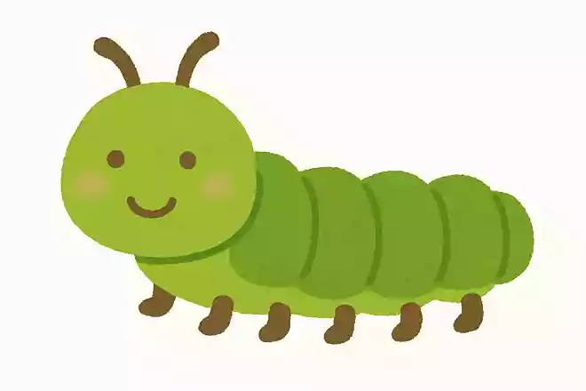ズイムシ