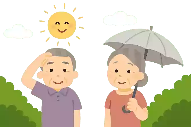 晴れた夏の日をあらわすことわざは何でしょうか?