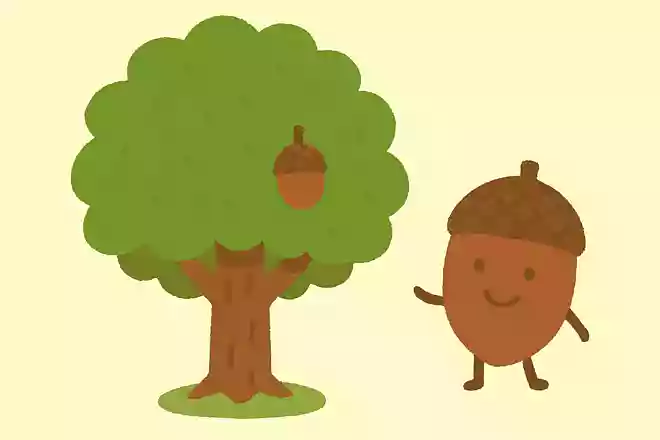 秋になると実をつけるどんぐりは、何の木にできるでしょうか？