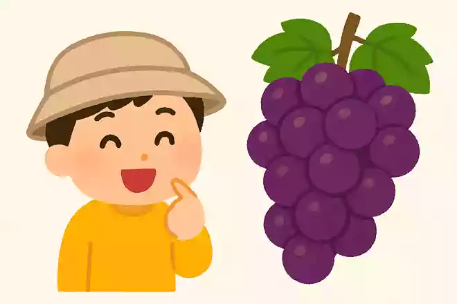 秋に食べるとおいしい沢山の丸い実がついている果物はなんでしょうか？