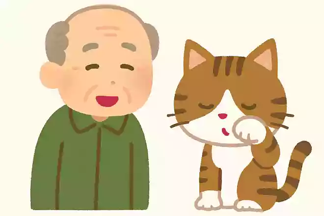 猫が顔を洗うと、天気はどうなると言われているでしょうか?
