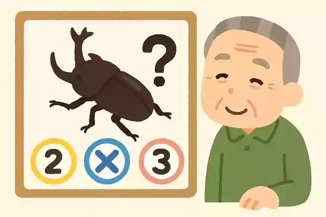 「カブトムシ」のツノは何本以上でしょうか?