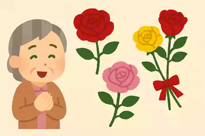 バラの花言葉は色と渡す本数で変わる